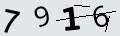 verifycode